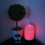 Northern Lights  Diffuser