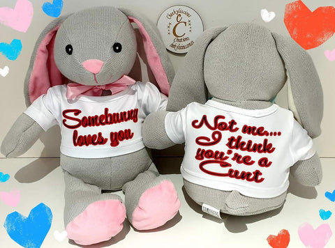 Somebunny Loves you- Not me You're a C*nt- Bunny
